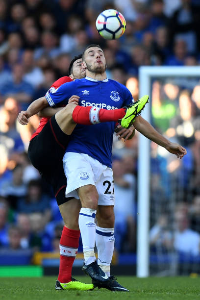 不仅能够丰 不仅能够丰